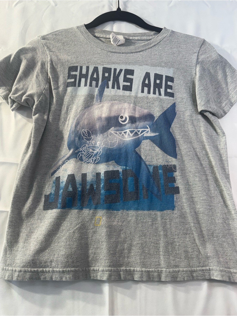 National Geographic Kids Medium Gray Tee with Blue Shark Graphic